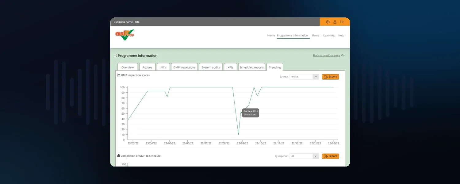 audIT.app — Business & Operations