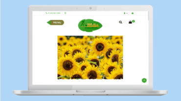 Miller-green-banner